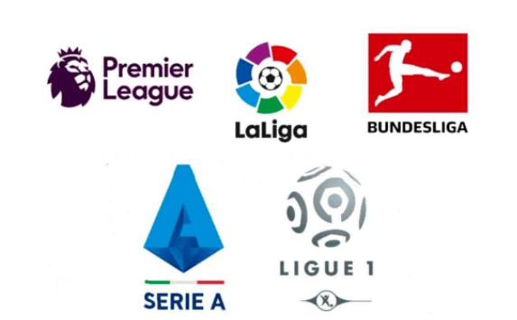 不仅反映了 不仅反映了